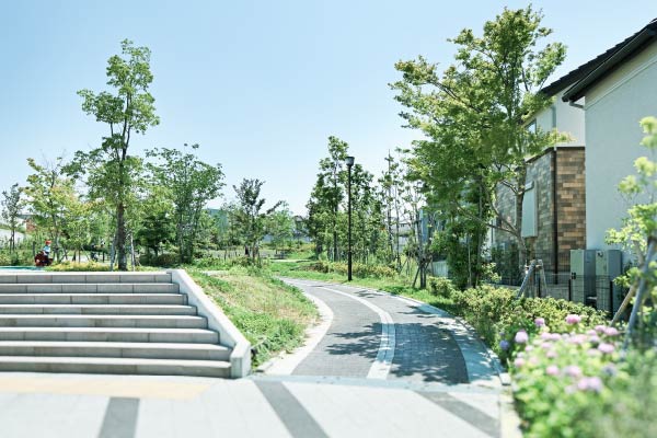 image photo