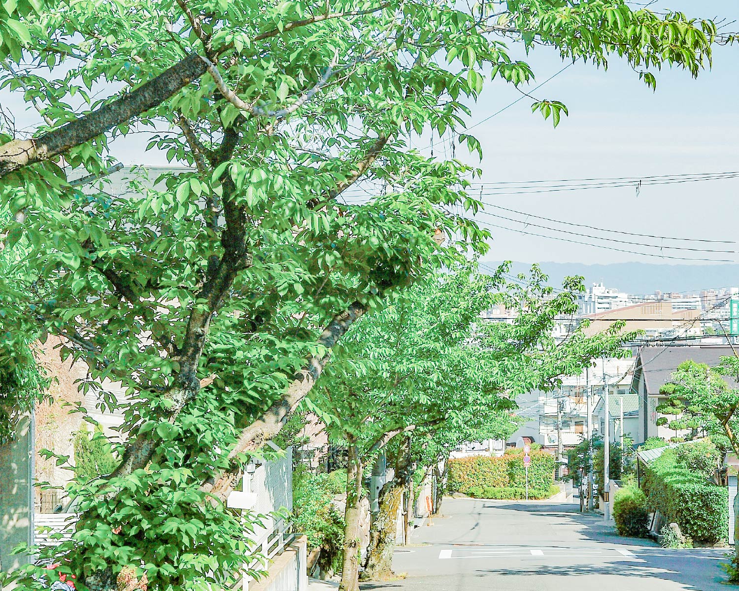 現地周辺街並み