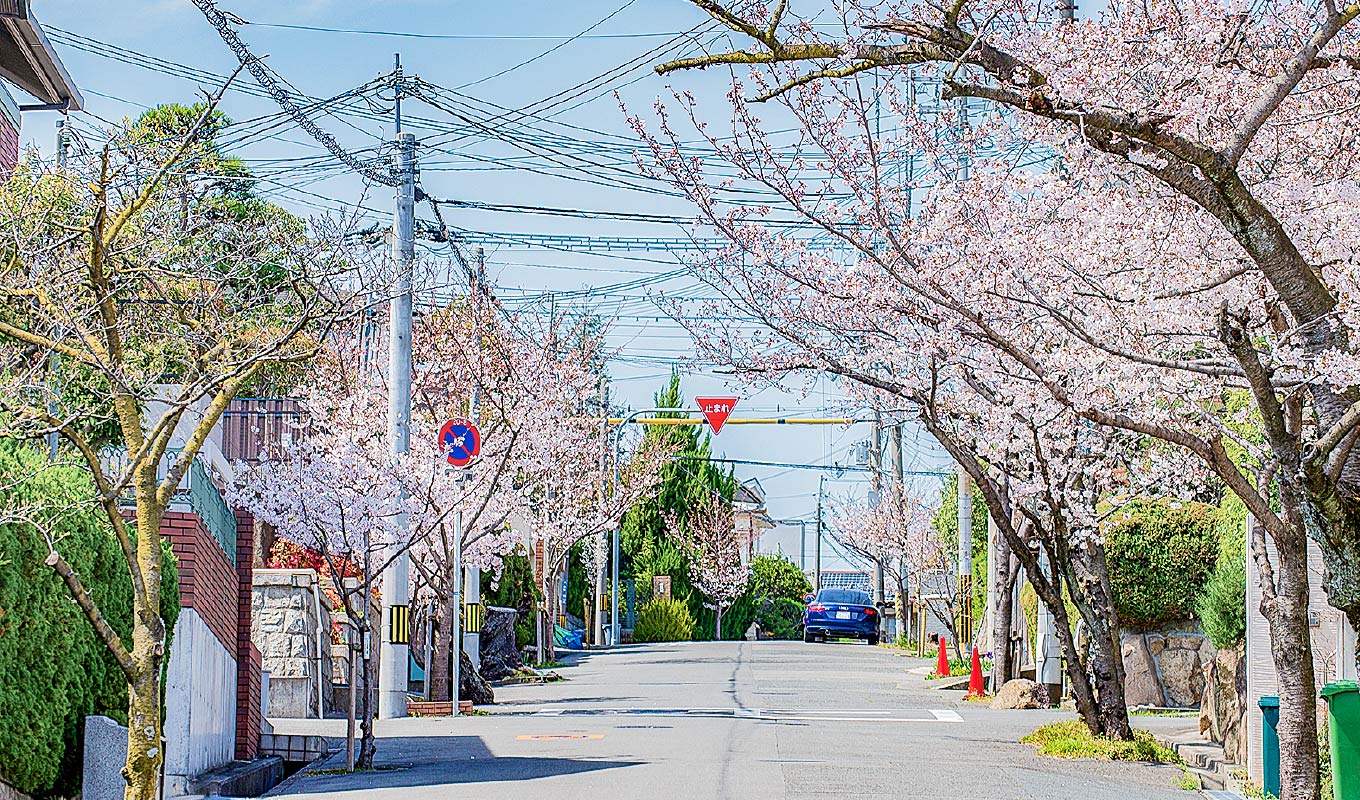 現地周辺街並み
