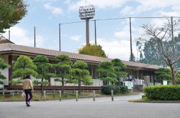 松戸運動公園