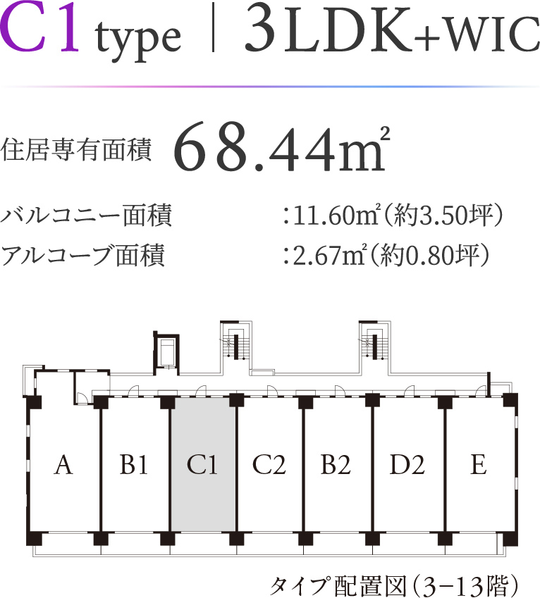C2type