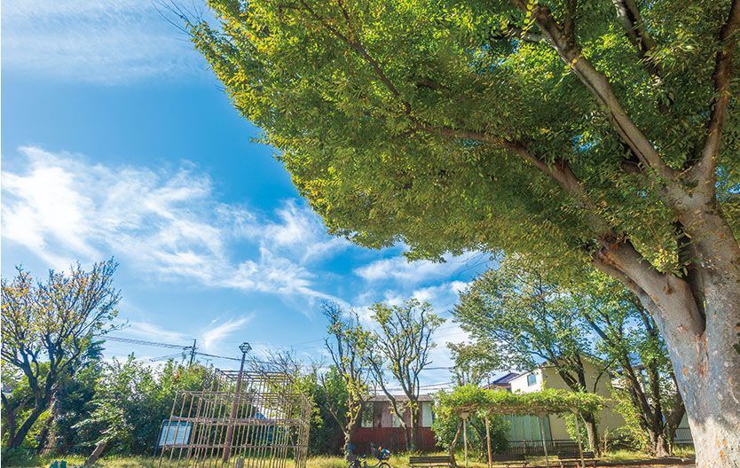 大野台みどり公園