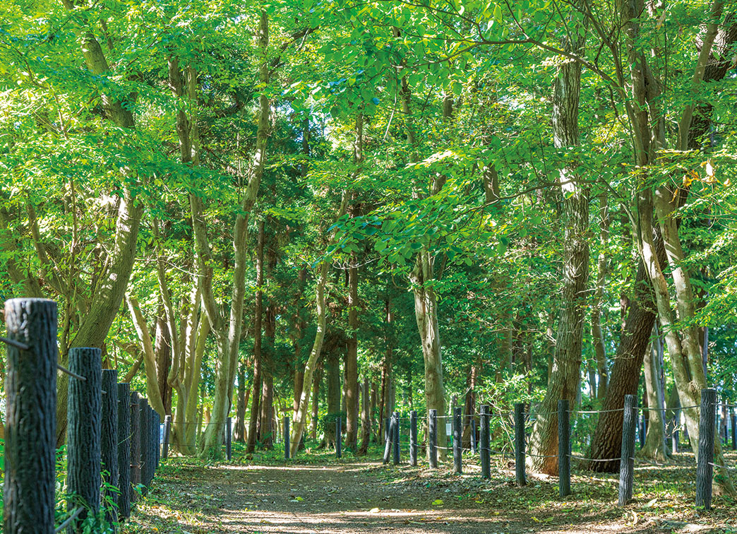 古淵鵜野森公園