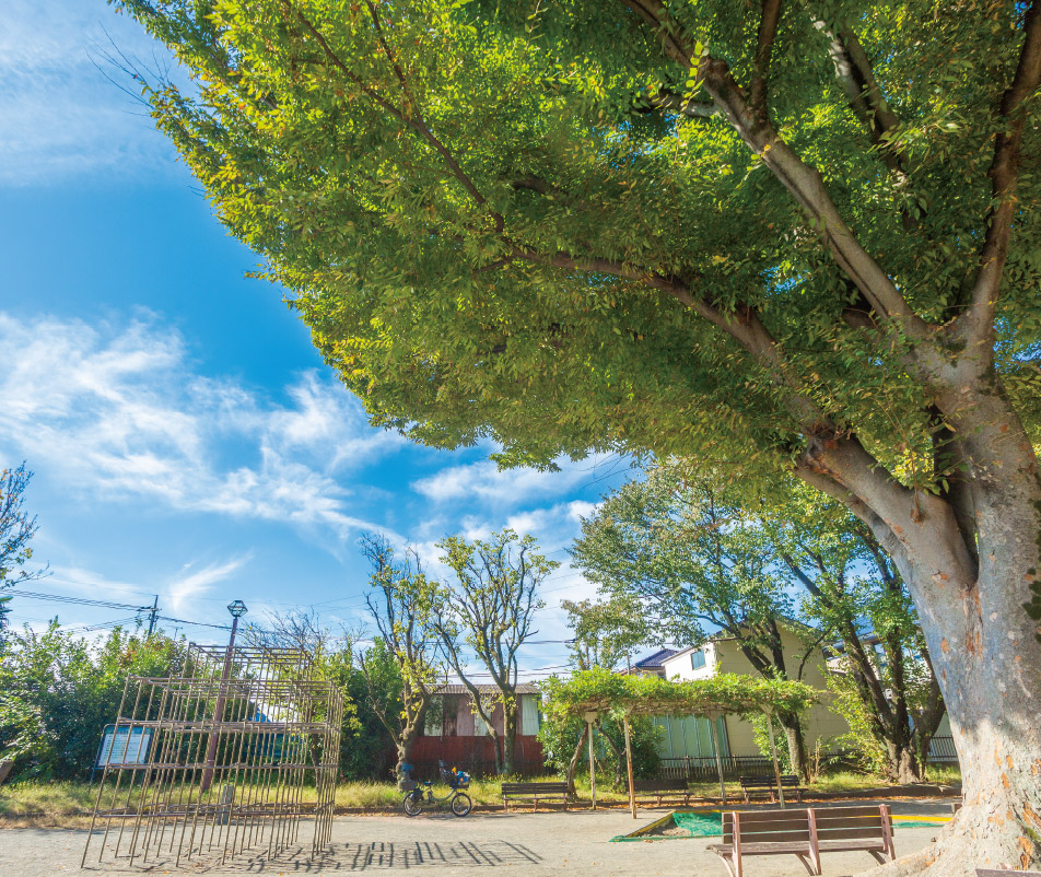 大野台6丁目公園