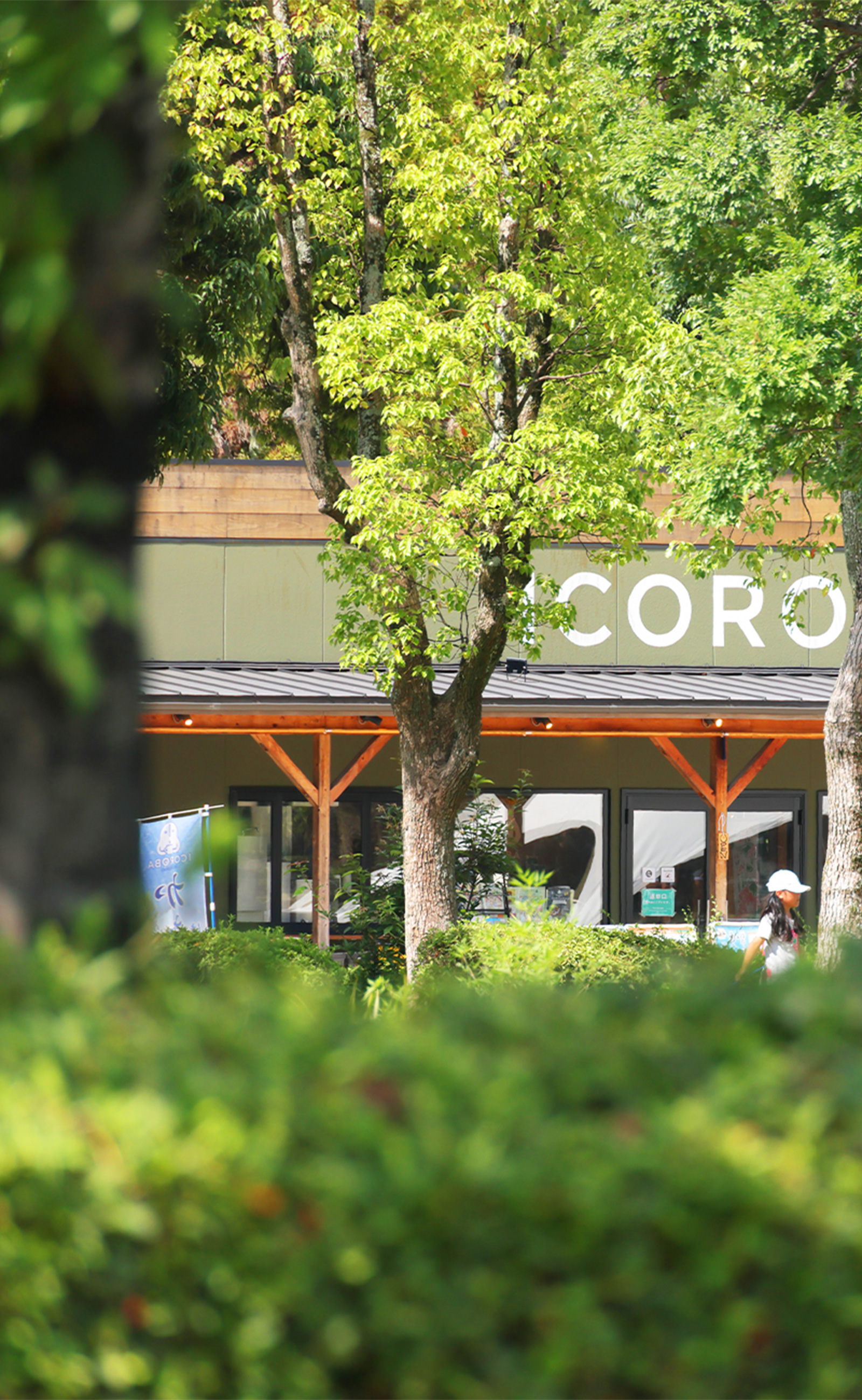 現地周辺の街並み