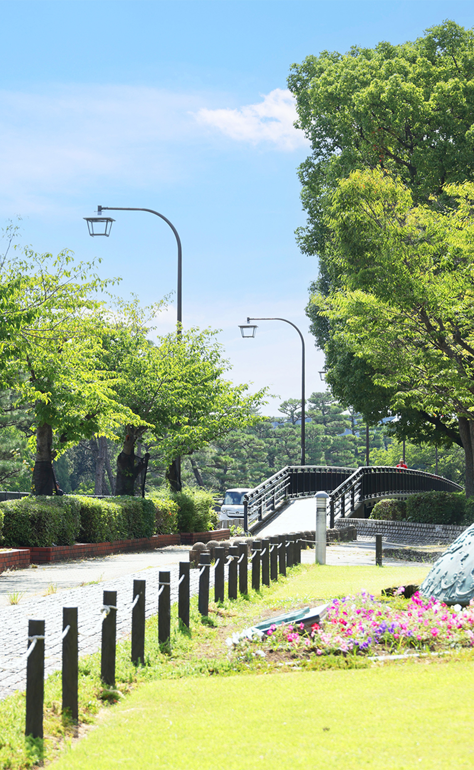 現地周辺の街並み