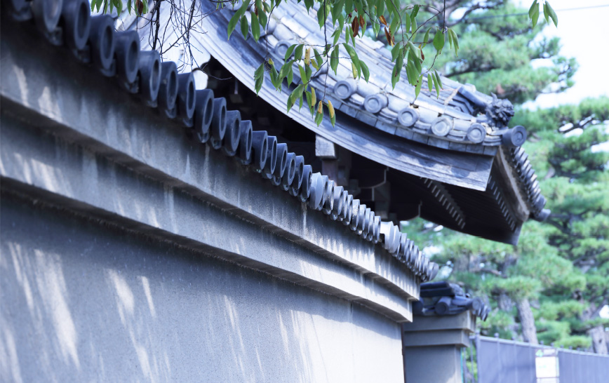 現地周辺の街並み