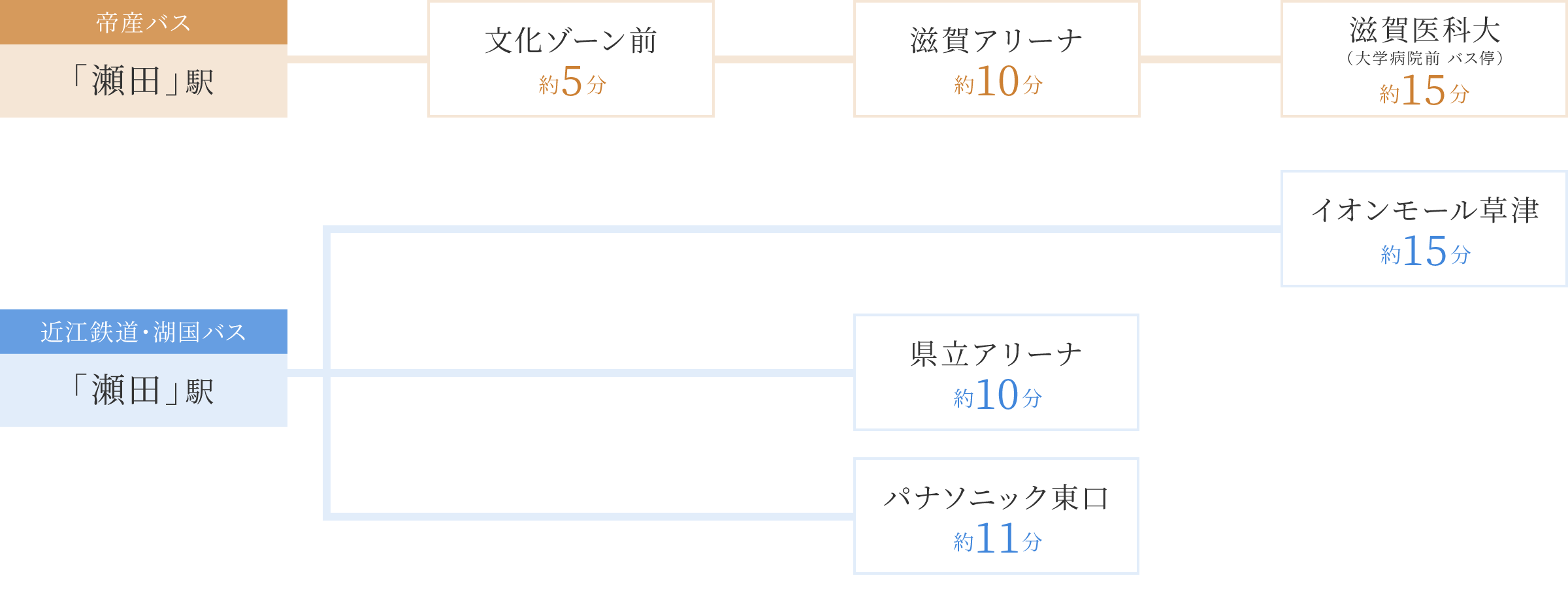 バス分数