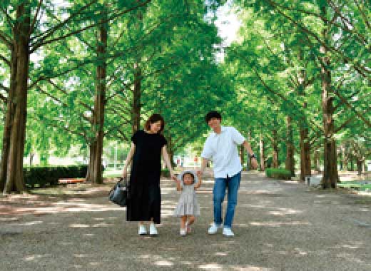 メタセコイアの並木道（矢橋帰帆島公園）