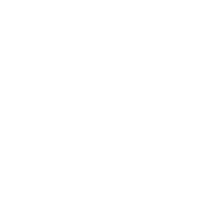 実物体感