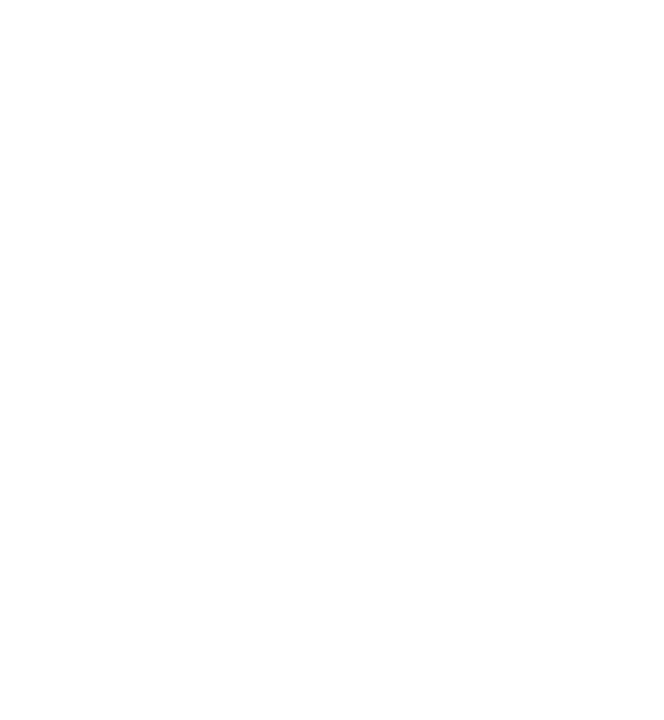 静と躍動
