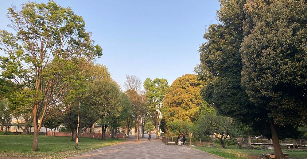 郷土の森公園