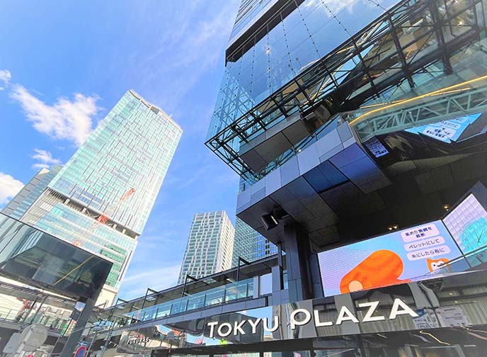「渋谷」駅