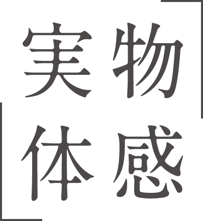 実物体感